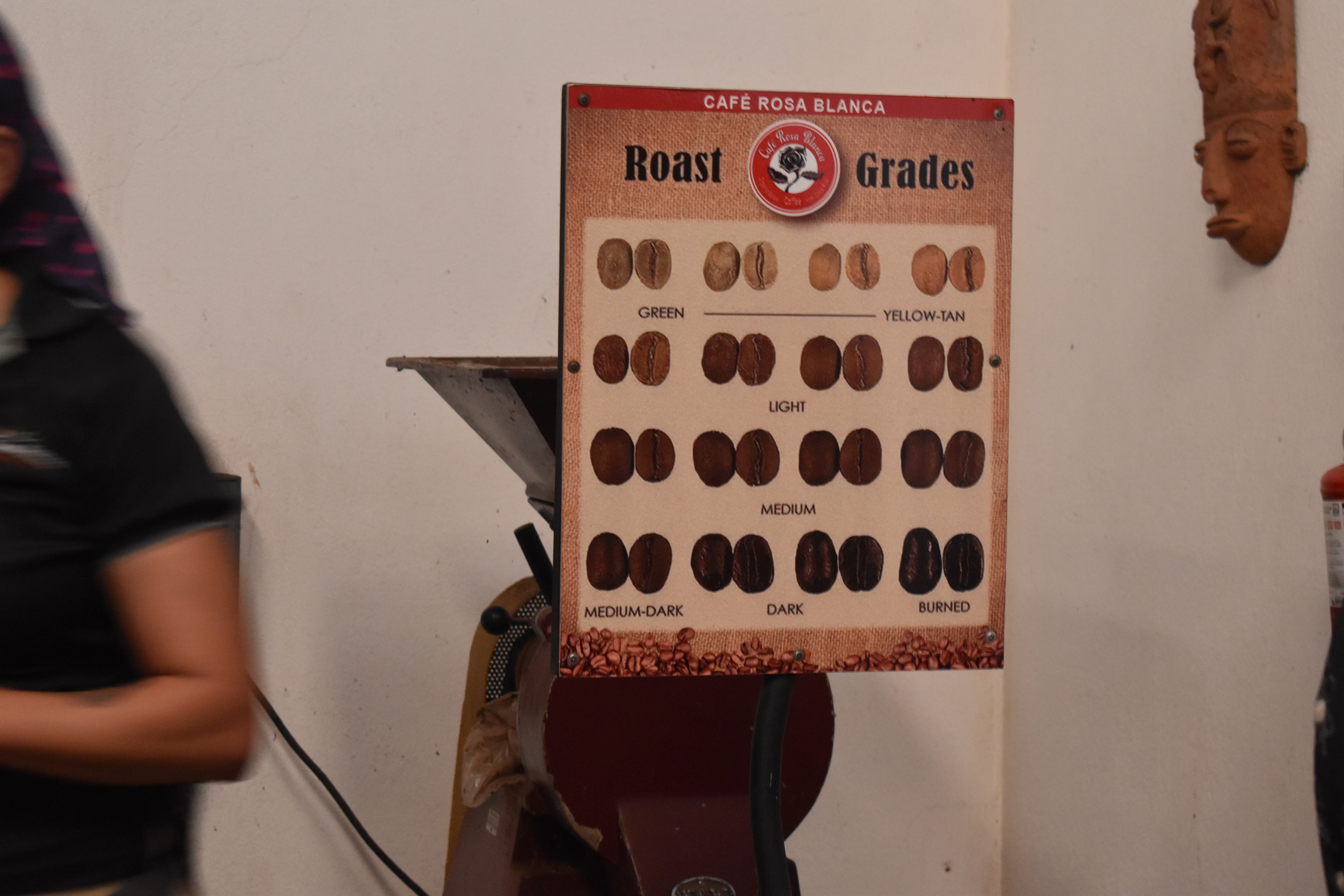 Display chart showing the color differences between green, light, medium, medium-dark, dark, and very dark coffee roasts.
